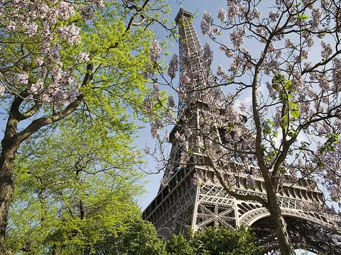 The Eiffel Tower in spring