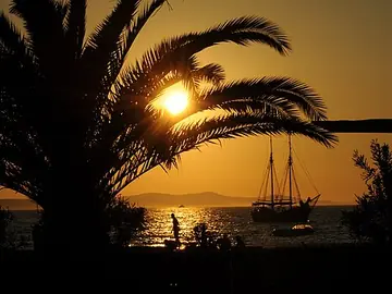 Borik: a palm and a sailing boat at sunset