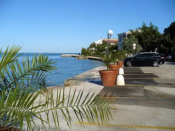 Diklo: palms on the seafront